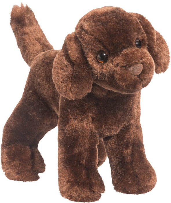 Sylvia the Chocolate Lab