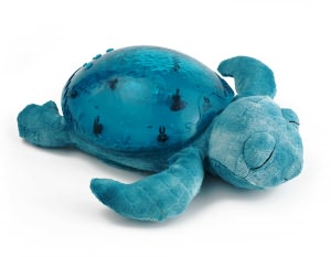 TRANQUIL TURTLE-AQUA