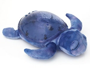 TRANQUIL TURTLE - PURPLE
