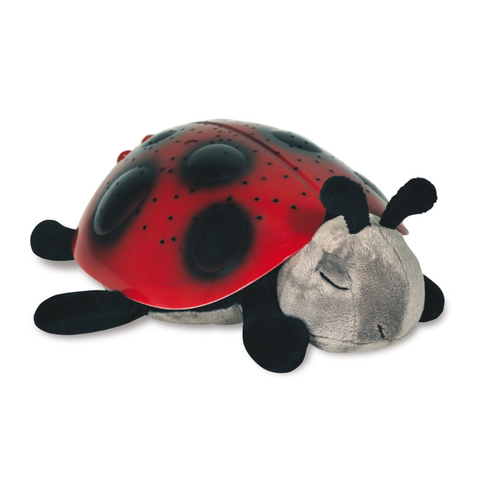 TWILIGHT LADYBUG