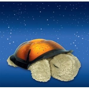 TWILIGT TURTLE