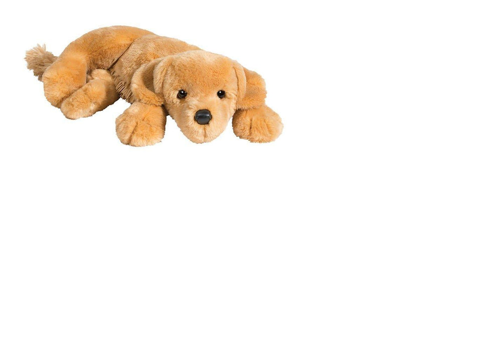 Tango – Golden Retriever Dog