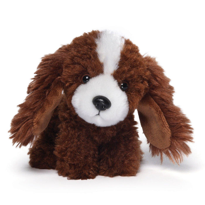 Tea Cup Pup-Jedda Cocker Spaniel