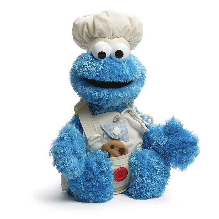 Teach Me Cookie Monster 17"