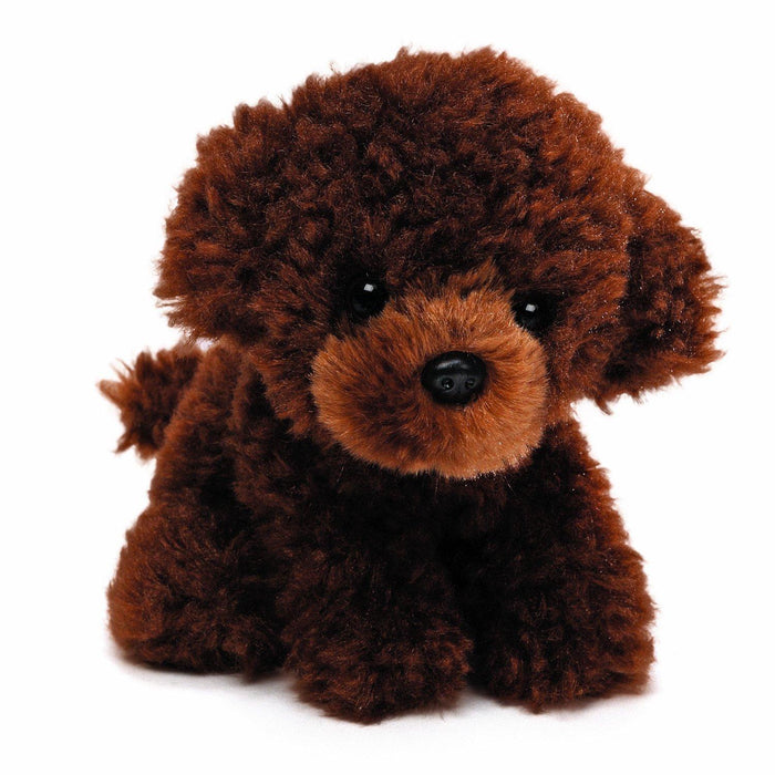 Teacup Puppies - Sassette (poodle)