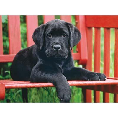 The Black Dog 500pc Puzzle