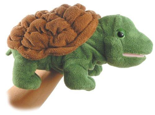 Timmer the Turtle