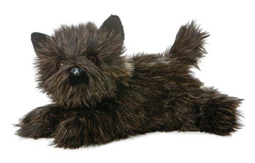 Toto the Black Dog