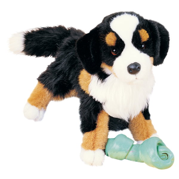 Trevor the Bernese Mountain Dog