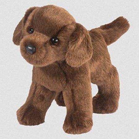 Tucker- Chocolate Lab Dog