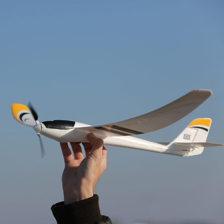 Ultra Micro Radian Bind N Fly by E-Flite