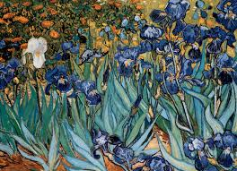 Van Gogh – Irises 1000pc puzzle