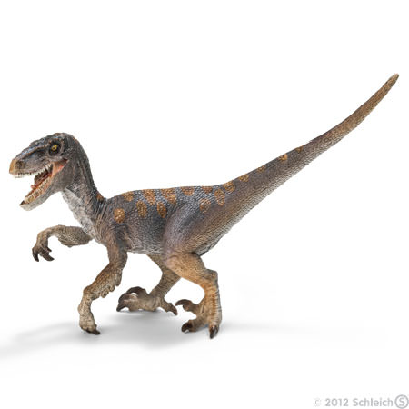 Velociraptor