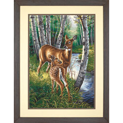 White-Tailed Deer PBN 14x20