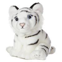 White Tiger Cub