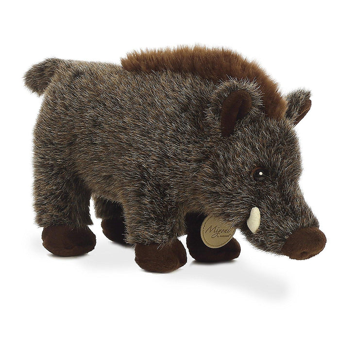 Wild Boar