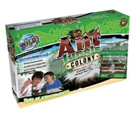 Wild Science Ant Jungle Kit
