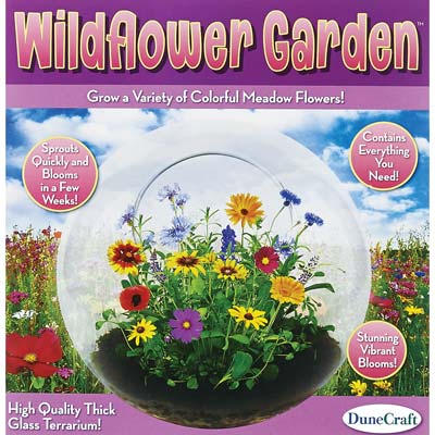 Wildflower Garden