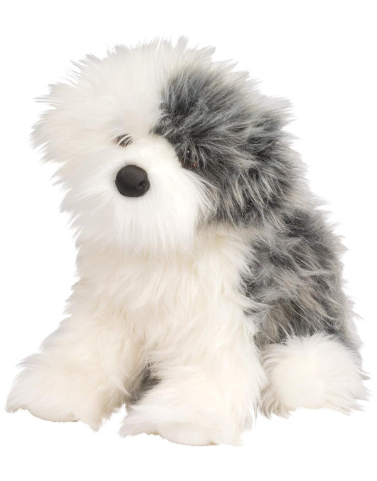 Willard – English Sheep Dog