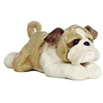 Wills the Bulldog