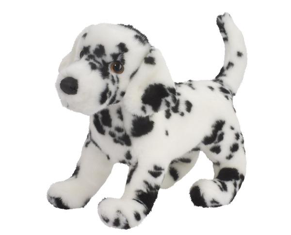 Winston the Dalmatian Dog