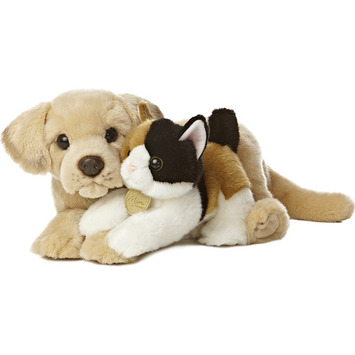 Yellow Lab & Calico Kitten