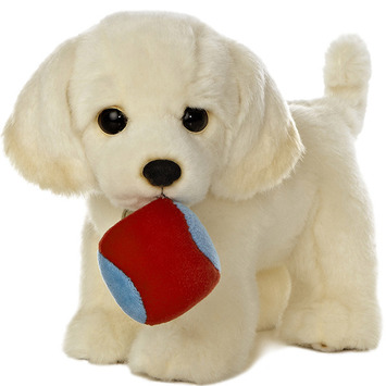 Yellow Lab with Ball